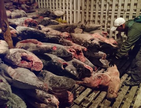 Recurso de Casación en caso de buque chino Fu Yuan Yu Leng