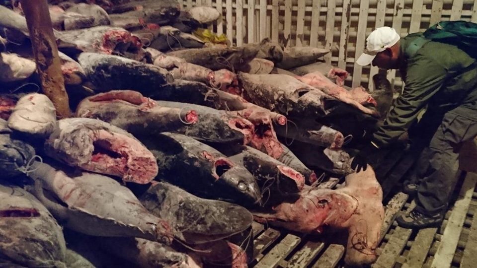 Recurso de Casación en caso de buque chino Fu Yuan Yu Leng