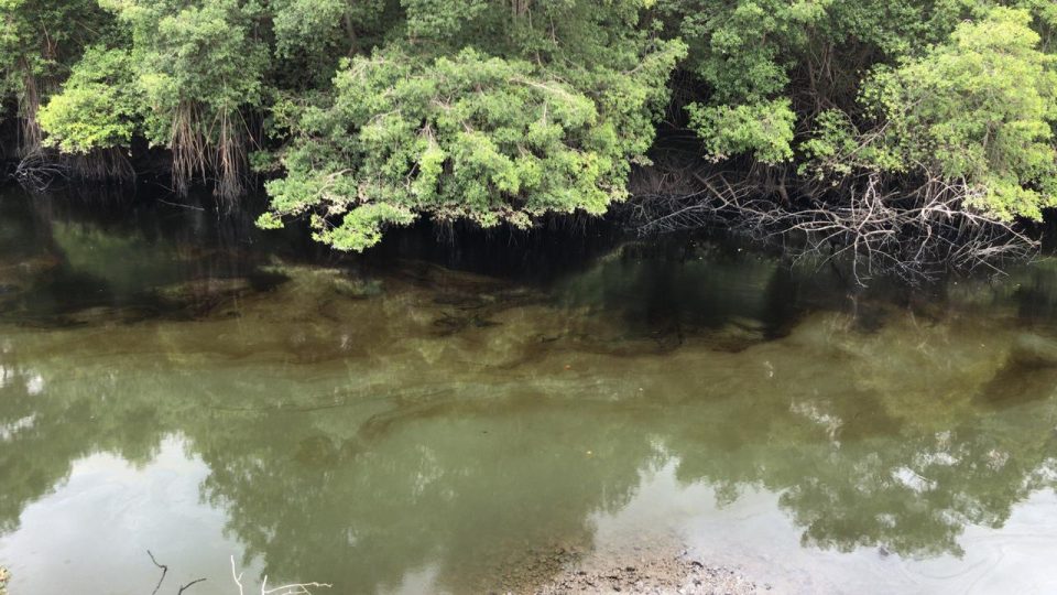 Derrame de Combustible en Estero Salado por falla aceptada por CELEC