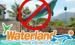 DELFINARIO POR WATERLAND MUNDO MARINO S.A. PROHIBIDO EN ECUADOR