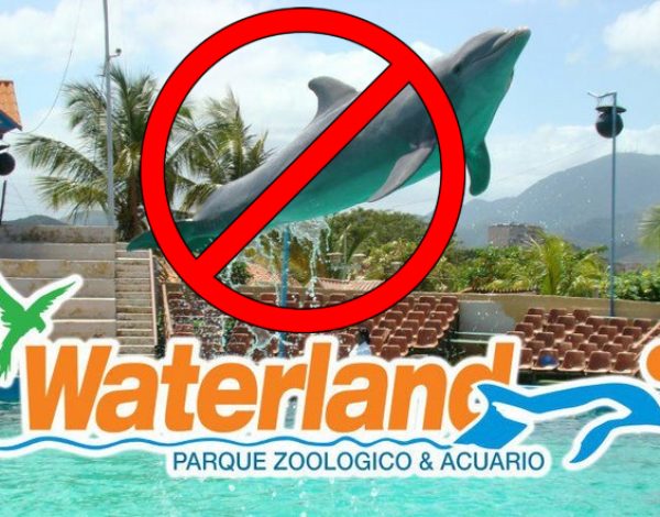 DELFINARIO POR WATERLAND MUNDO MARINO S.A. PROHIBIDO EN ECUADOR