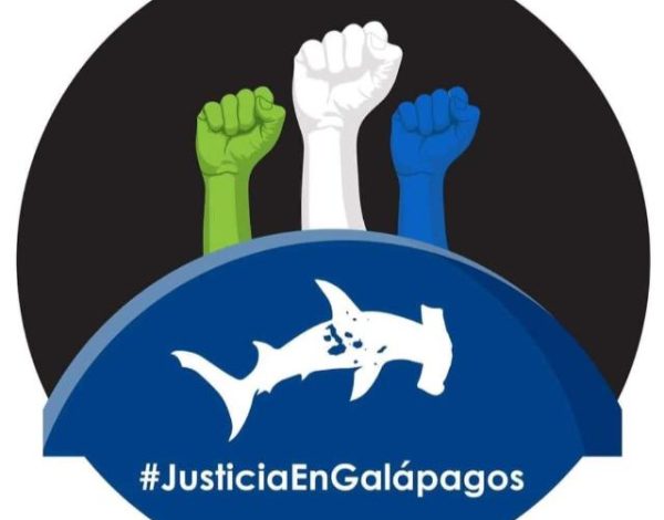 SIN FECHA PRÓXIMA PARA LA AUDIENCIA FINAL POR CASO DE BUQUE CHINO FU YUAN YU LENG 999