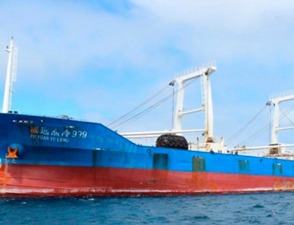 Nuevo estudio demuestra que los tiburones encontrados en el Fu Yuang Yu Leng tienen niveles más altos de mercurio que los aceptados por la OMS