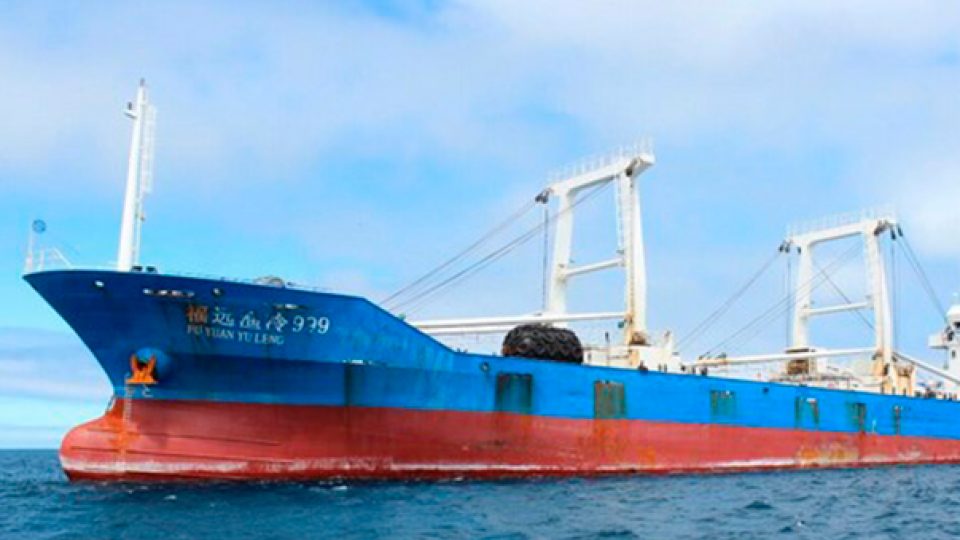 Nuevo estudio demuestra que los tiburones encontrados en el Fu Yuang Yu Leng tienen niveles más altos de mercurio que los aceptados por la OMS